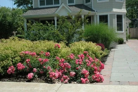 Trusted yard cleanup service with custom design across Highland Park, IL - Joe & Tony Landscaping