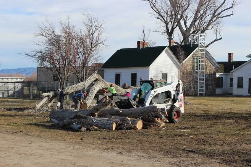 Trusted lawn care service with custom design in Gardnerville, NV by Joe Benigno's Tree Service