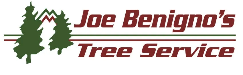 Expert garden landscaping in Gardnerville, NV - Joe Benigno's Tree Service