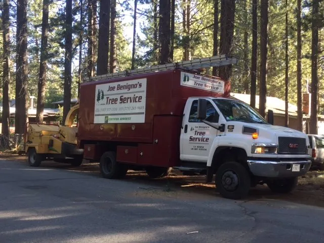 Professional yard cleanup service in Gardnerville, NV - Joe Benigno's Tree Service