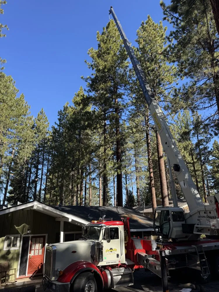 Custom landscaping services experts serving Gardnerville, NV - Joe Benigno's Tree Service