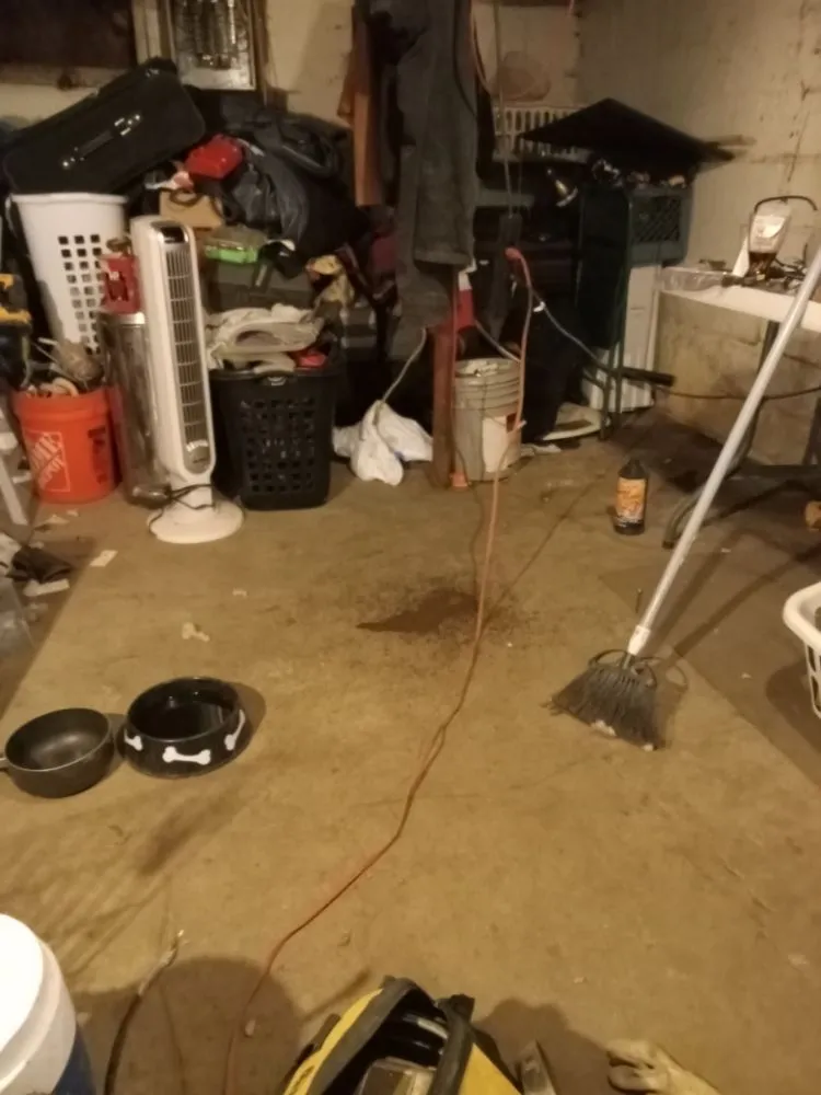 Expert yard cleanup service experts serving Columbus, OH - Joe Builder