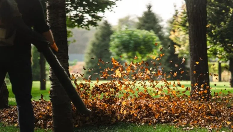 Custom garden landscaping for homes across Columbus, OH - Joe Builder