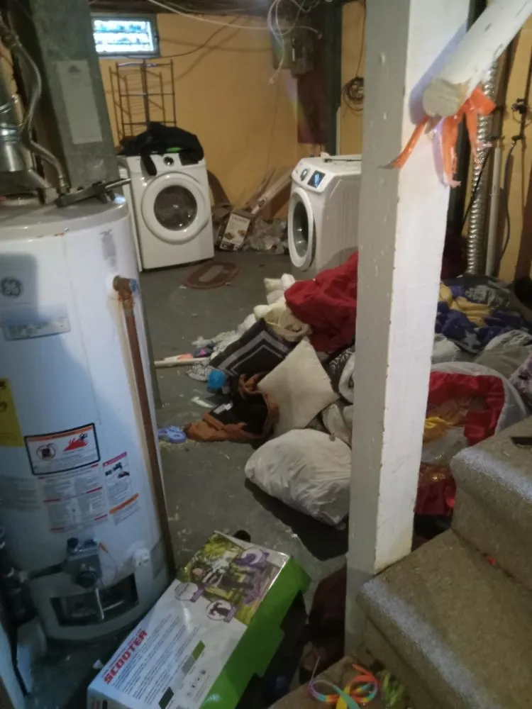 Top-rated landscape design for beautiful yards across Columbus, OH - Joe Builder