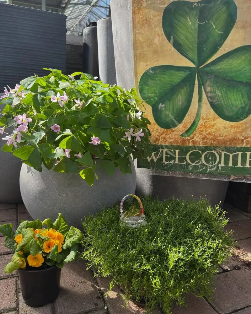 Professional landscape installation in Cincinnati, OH by Joe Cappel’s Lawn Landscape & Garden Center