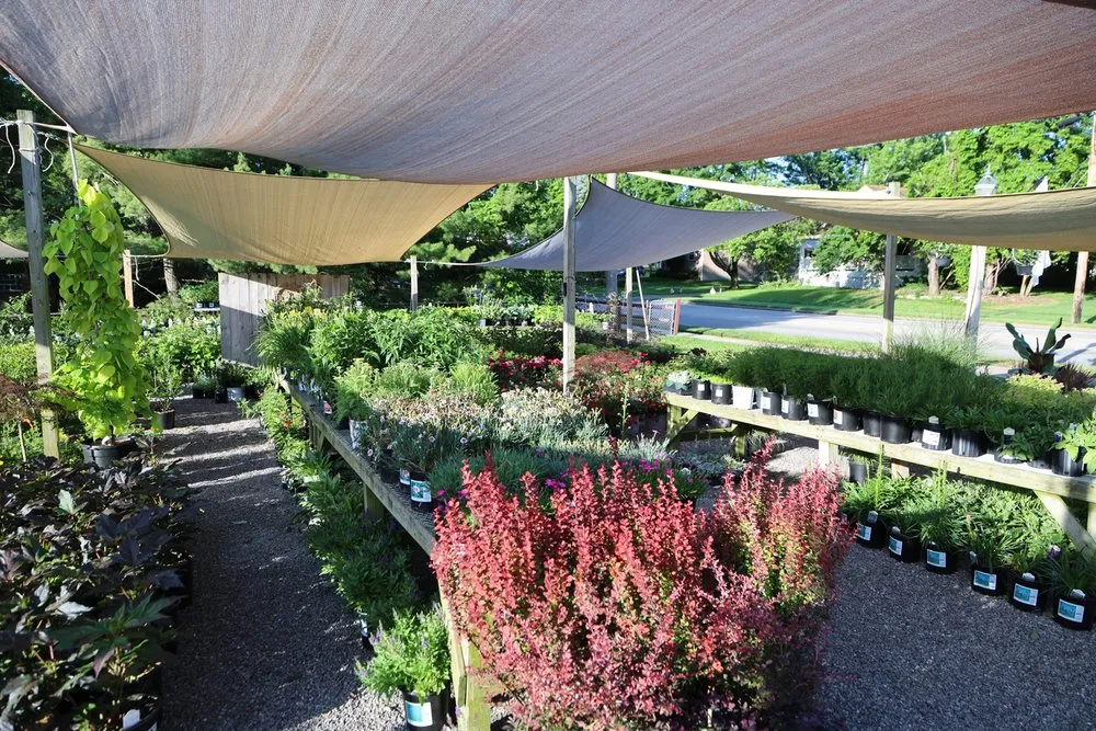 Custom landscape design for beautiful yards in Cincinnati, OH by Joe Cappel’s Lawn Landscape & Garden Center