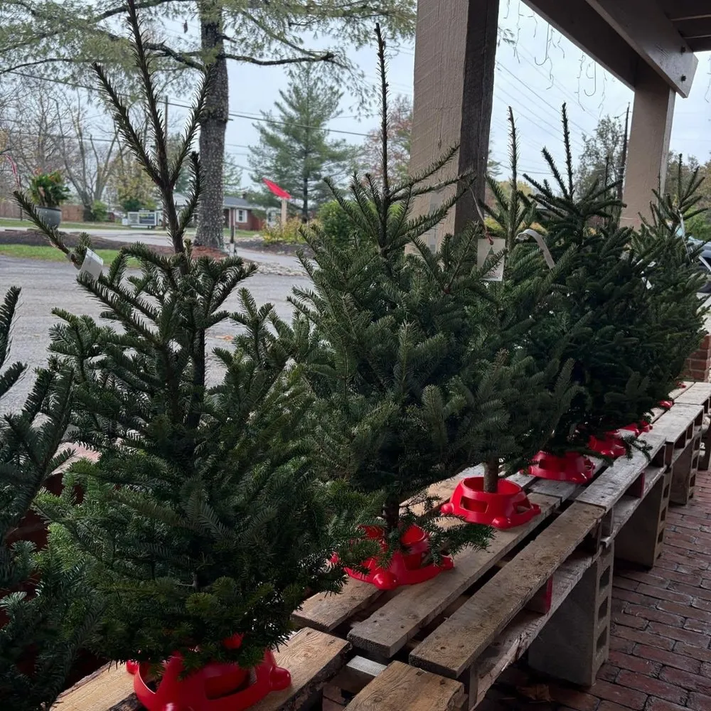 Professional lawn care service in Cincinnati, OH by Joe Cappel’s Lawn Landscape & Garden Center