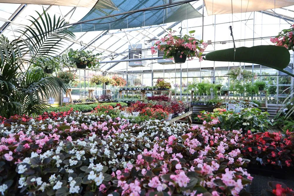 Expert yard maintenance for homes across Cincinnati, OH - Joe Cappel’s Lawn Landscape & Garden Center