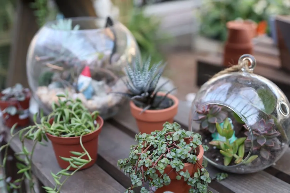 Custom yard maintenance in Cincinnati, OH - Joe Cappel’s Lawn Landscape & Garden Center