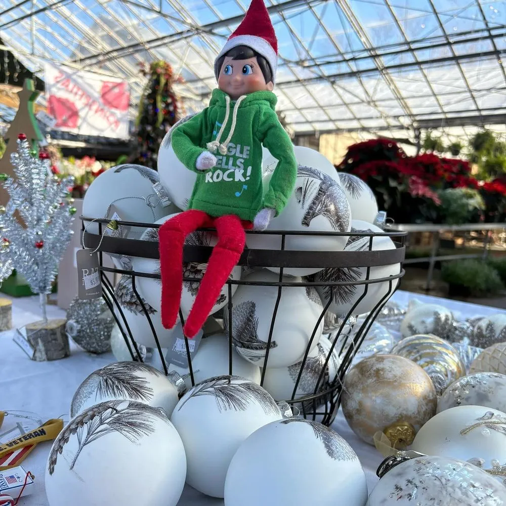 Custom yard maintenance in Cincinnati, OH - Joe Cappel’s Lawn Landscape & Garden Center