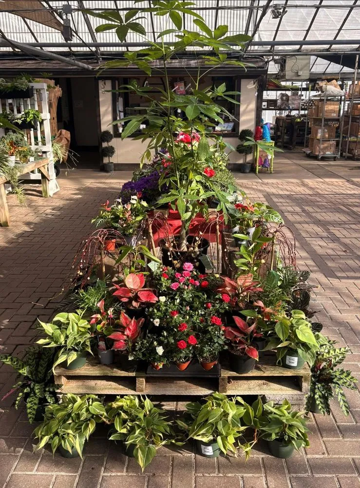 Local landscape design in Cincinnati, OH - Joe Cappel’s Lawn Landscape & Garden Center