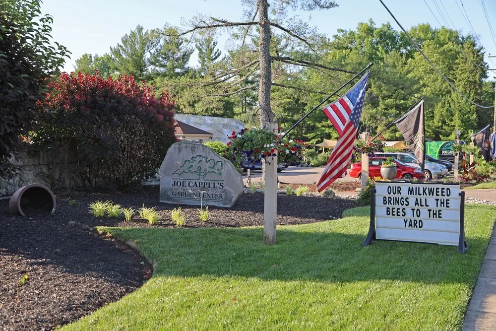Professional yard cleanup service for homes in Cincinnati, OH by Joe Cappel’s Lawn Landscape & Garden Center