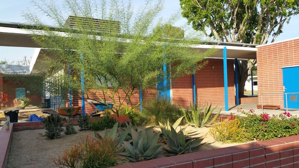 Custom yard cleanup service experts serving Long Beach, CA - Joe Dirt Landscaping