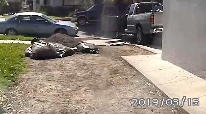 Expert yard maintenance experts serving Long Beach, CA - Joe Dirt Landscaping