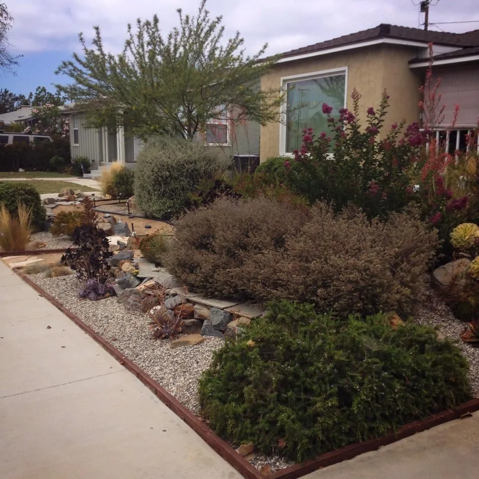 Professional yard maintenance in Long Beach, CA by Joe Dirt Landscaping