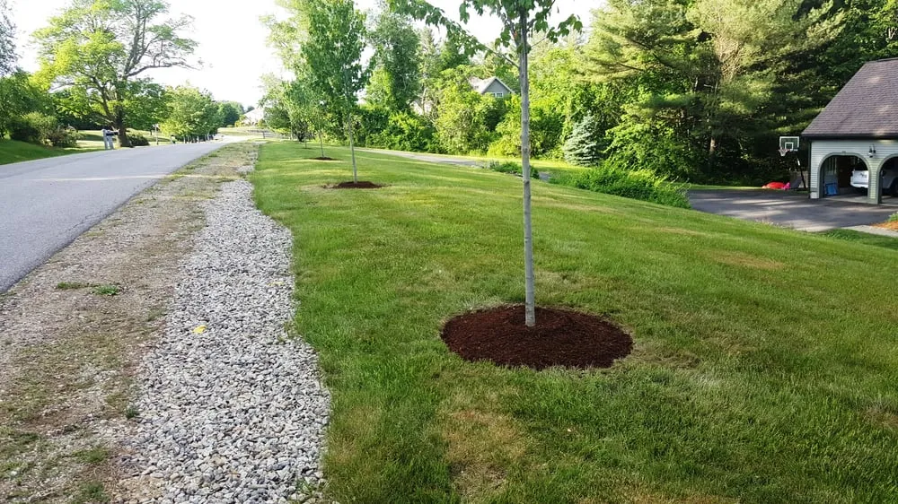 Expert landscape installation for homes in Bedford, NH by Joe Gauci Landscaping