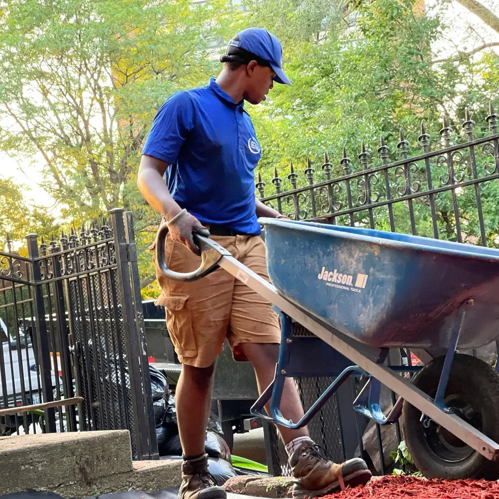 Local lawn care service experts serving Chicago, IL - Joe Jr Landscapes