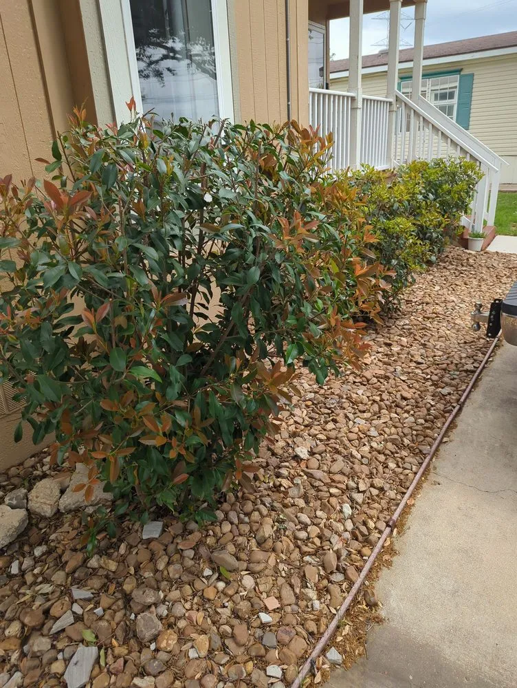 Professional landscaping services experts serving Canyon Lake, TX - Joe Knows Land Clearing and Landscape