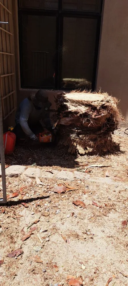 Custom garden landscaping in Chandler, AZ - Joe Landscaping