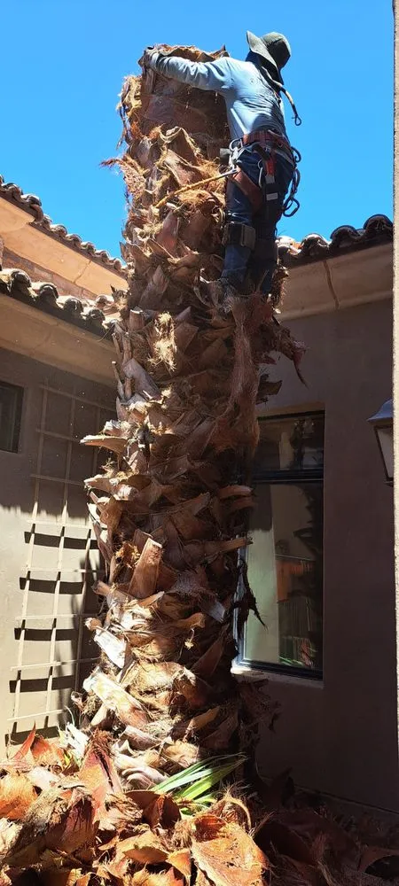 Custom lawn mowing service for residential properties across Chandler, AZ - Joe Landscaping