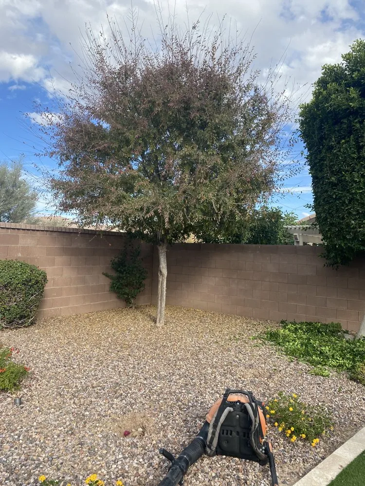 Reliable garden landscaping in Chandler, AZ - Joe Landscaping