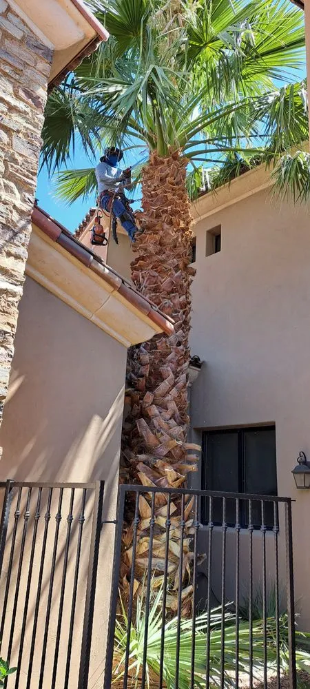 Local landscape design experts serving Chandler, AZ - Joe Landscaping