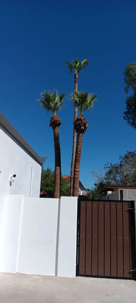 Expert lawn mowing service in Chandler, AZ by Joe Landscaping