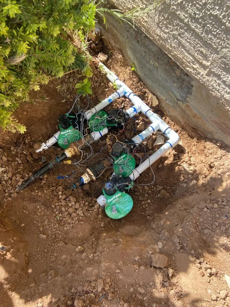 Custom landscaping services in Chandler, AZ by Joe Landscaping