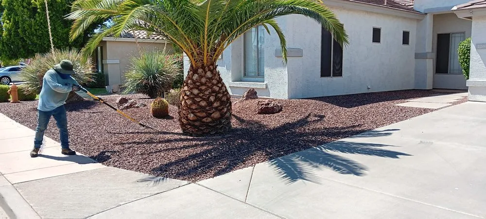 Custom lawn mowing service experts serving Chandler, AZ - Joe Landscaping