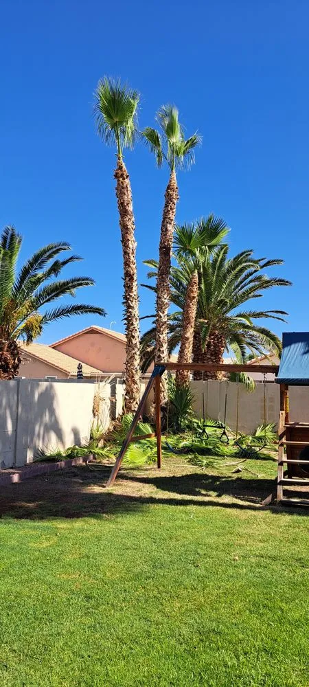 Custom yard maintenance for homes across Chandler, AZ - Joe Landscaping
