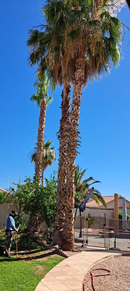 Top-rated landscape design in Chandler, AZ by Joe Landscaping