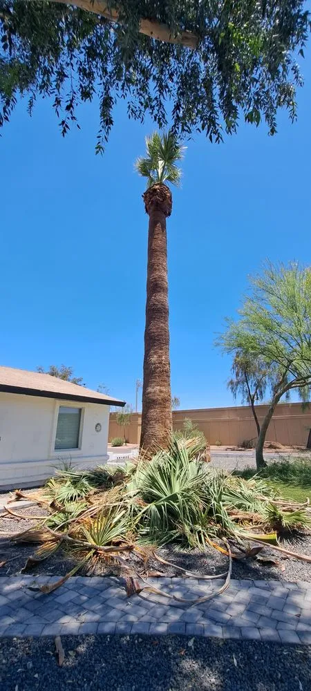 Expert lawn mowing service experts serving Chandler, AZ - Joe Landscaping