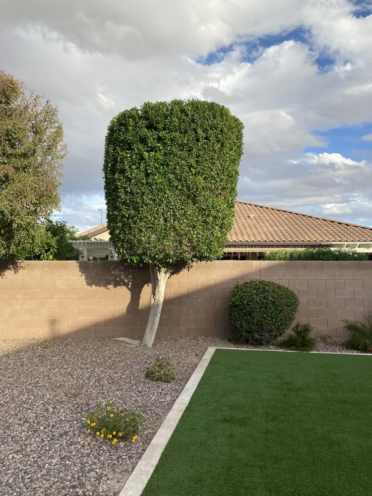 Trusted landscape design for homes in Chandler, AZ by Joe Landscaping