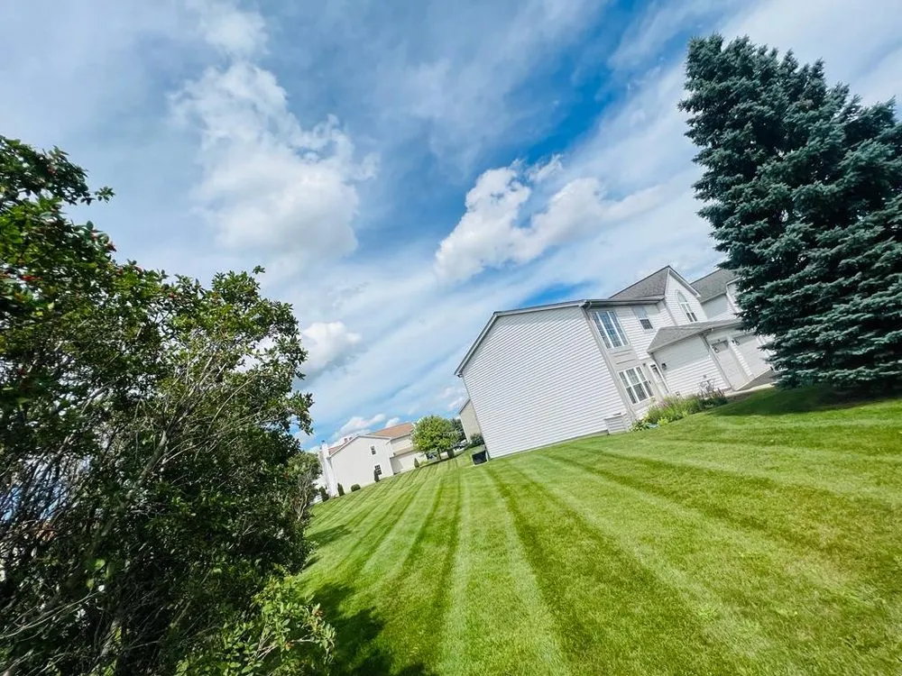 Local residential landscaping in Oxnard, CA - Joe Landscaping