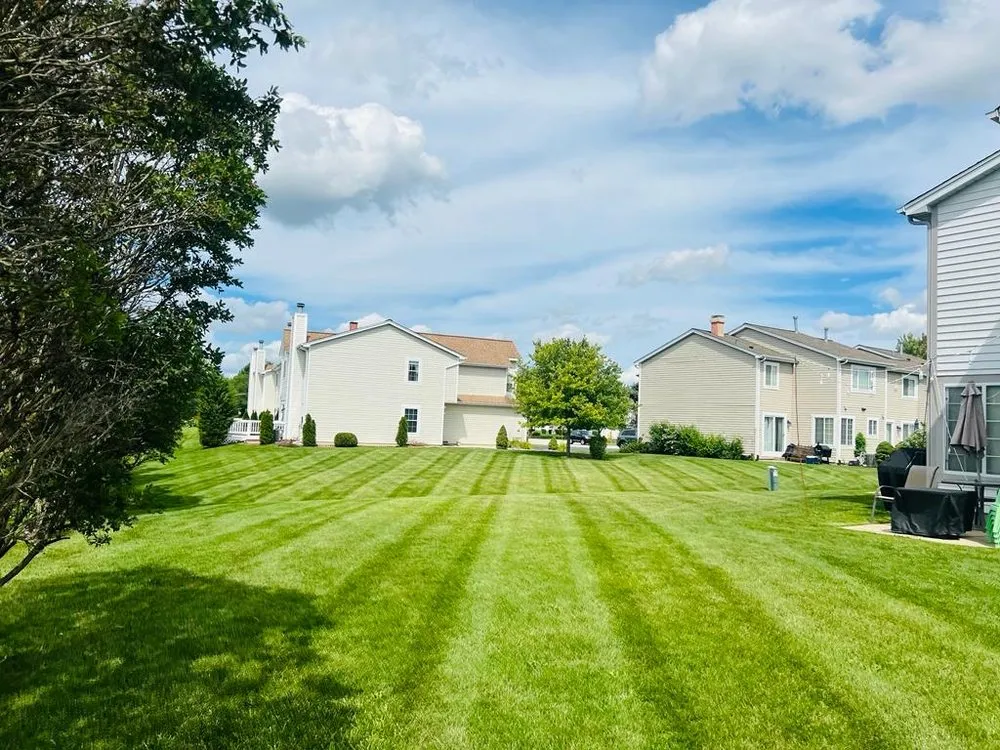 Expert landscape design near you in Oxnard, CA by Joe Landscaping