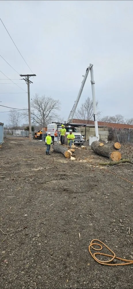 Affordable garden landscaping experts serving Spring Grove, IL - Joe Meyer Tree Service