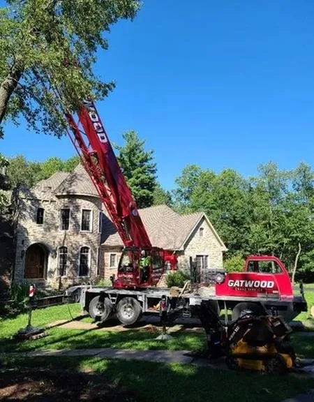 Reliable yard cleanup service experts serving Spring Grove, IL - Joe Meyer Tree Service