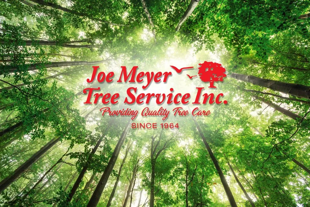 Professional lawn care service in Spring Grove, IL - Joe Meyer Tree Service