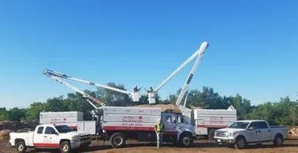 Expert lawn care service in Spring Grove, IL - Joe Meyer Tree Service