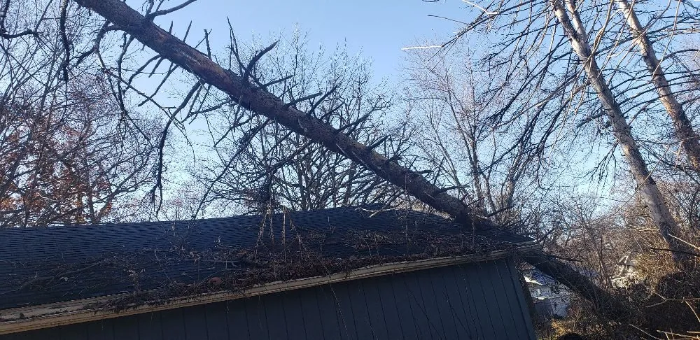 Custom lawn mowing service in Spring Grove, IL - Joe Meyer Tree Service