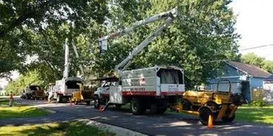 Custom residential landscaping in Spring Grove, IL - Joe Meyer Tree Service