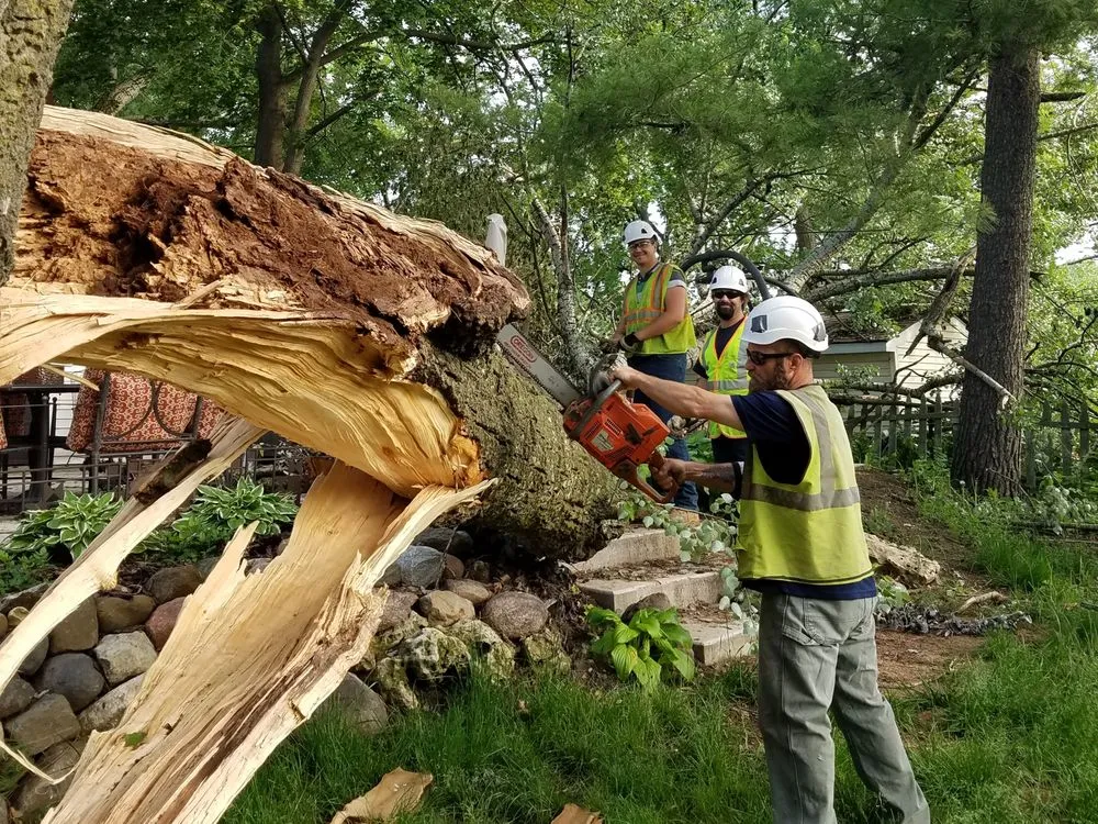 Custom landscaping services in Spring Grove, IL by Joe Meyer Tree Service