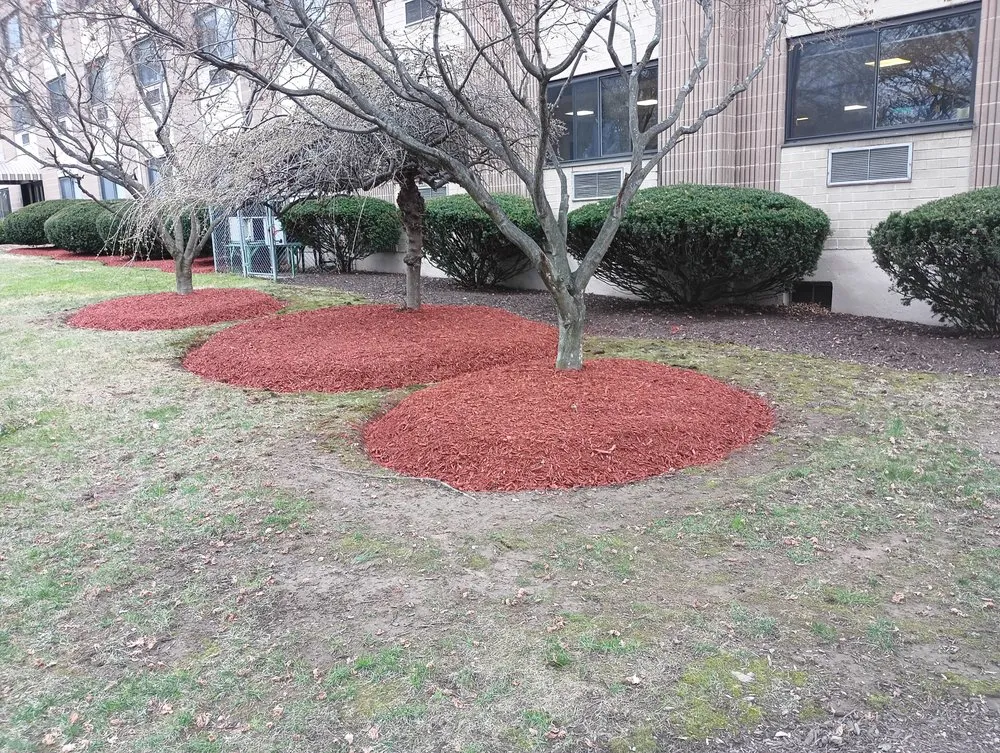 Expert landscape design in Hopewell Junction, NY by Joe Monaco