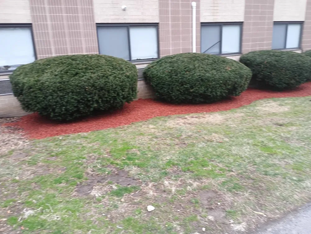 Local residential landscaping in Hopewell Junction, NY by Joe Monaco