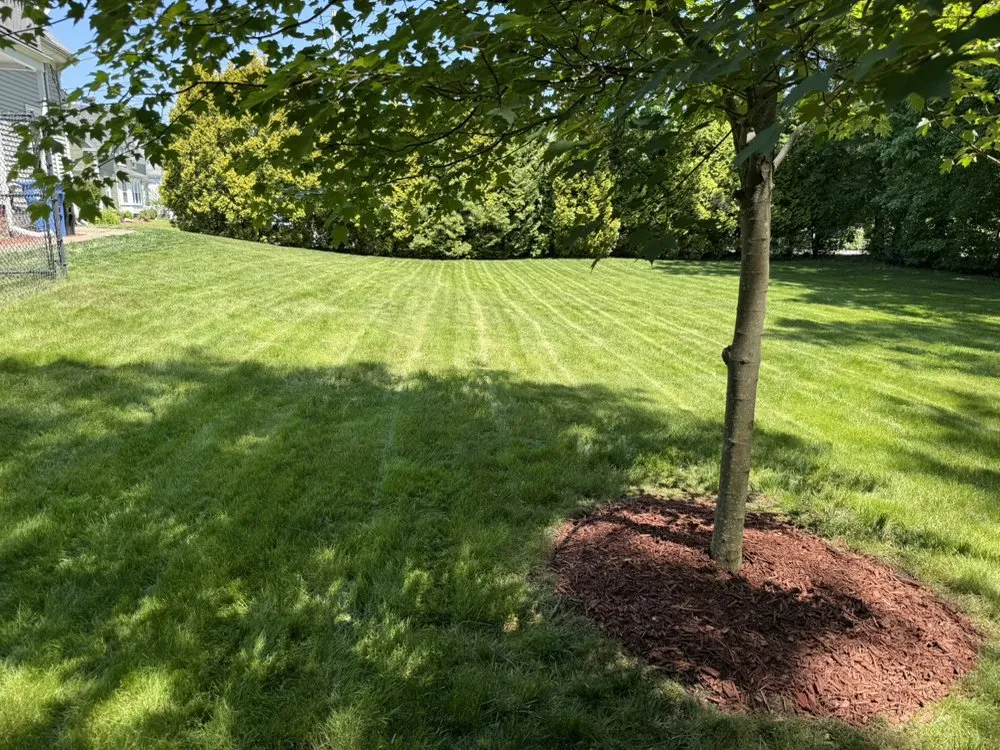 Top-rated lawn care service in Braintree, MA - Joe Mow Lawncare