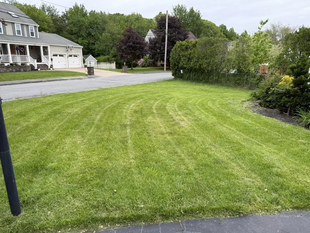 Expert yard cleanup service in Braintree, MA by Joe Mow Lawncare