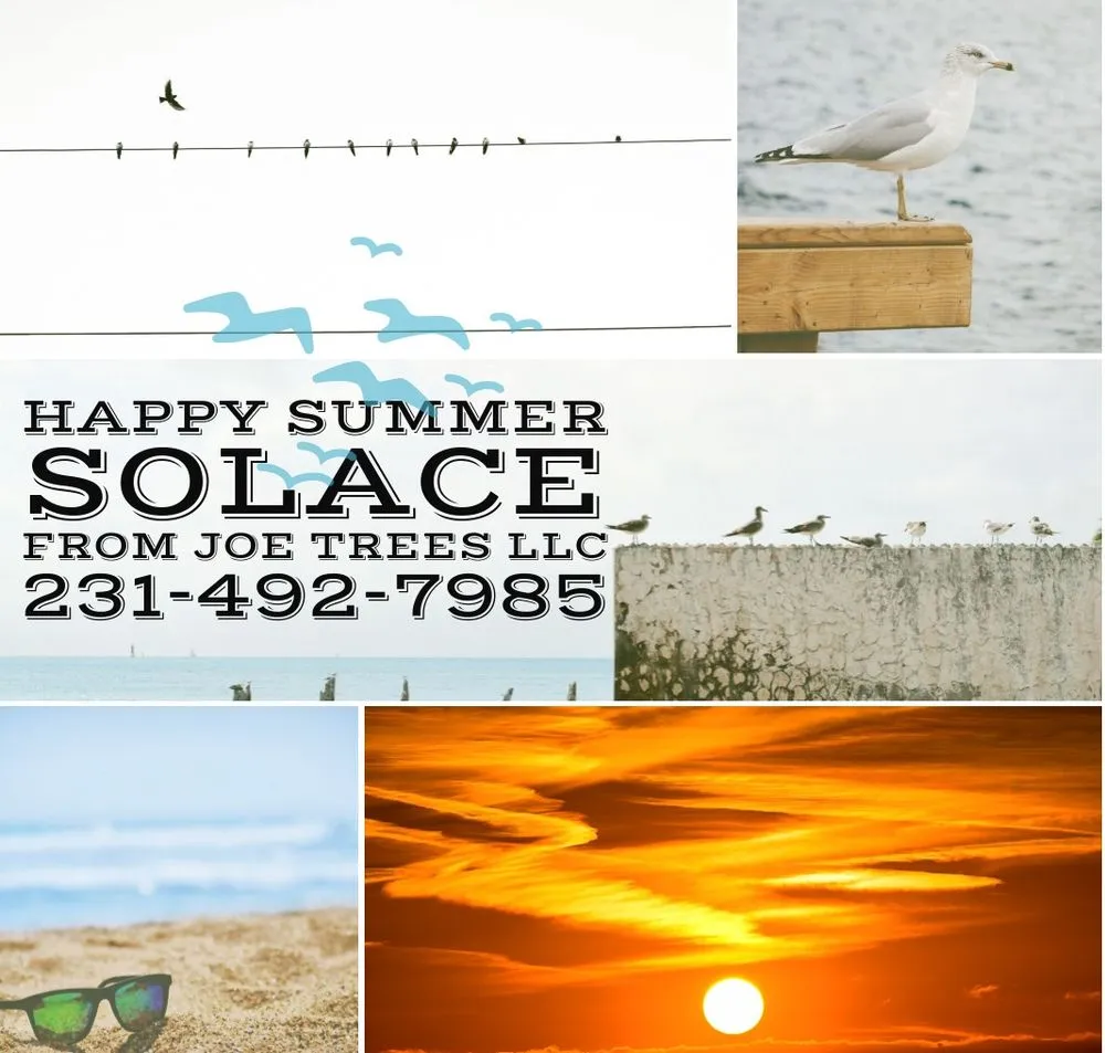 Reliable lawn care service in Traverse City, MI by Joe Trees