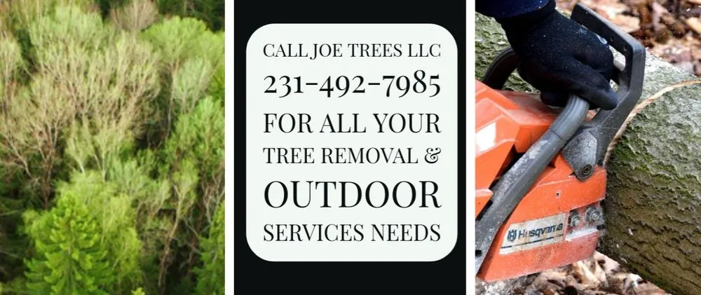 Professional landscape installation experts serving Traverse City, MI - Joe Trees