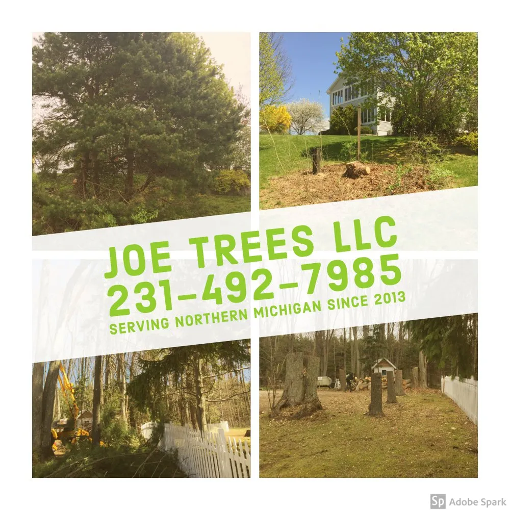 Expert yard maintenance for homes in Traverse City, MI by Joe Trees