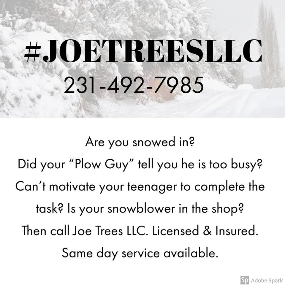 Professional lawn care service with custom design in Traverse City, MI by Joe Trees